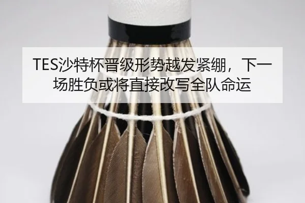 TES沙特杯晋级形势越发紧绷，下一场胜负或将直接改写全队命运